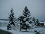 Foto 20